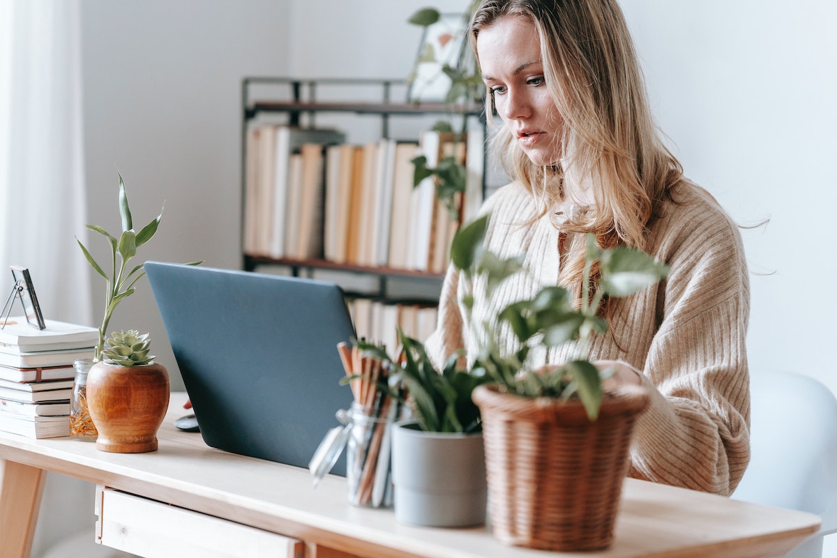 Guest Feedback: Why It's Important and How to Get It